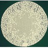 Blossom 20 Inch Round Ecru Doilies Set Of (2) Heritage Lace